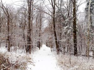 SCRA Winter Trails Day