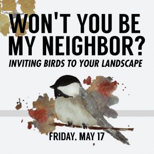 Won't You Be My Neighbor? Inviting Birds to Your Landscape