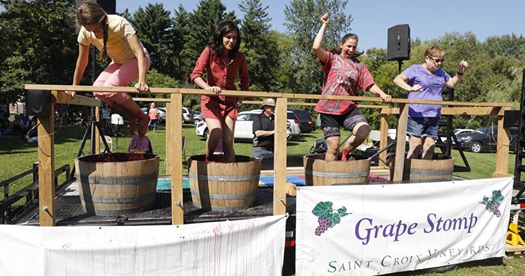 Gallery 1 - CANCELLED: Saint Croix Vineyards Grape Stomp Festival