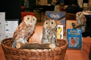 Stan Tekiela presents: Intriguing Owls