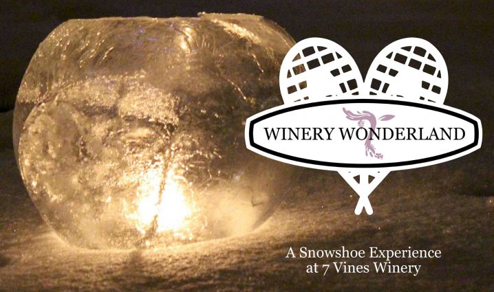 Gallery 1 - Winery Wonderland at 7 Vines Vineyard - WEATHER PERMITTING
