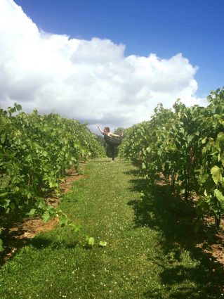 Gallery 3 - Yoga in the Vines