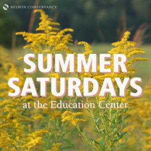 Summer Saturdays at the Education Center