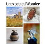 Unexpected Wonder Opening Reception