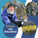 Lunch & Learn: Lichens of the Riverway
