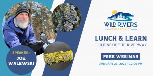 Lunch & Learn: Lichens of the Riverway