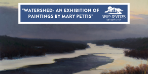 “Watershed” – Mary Pettis Exhibition