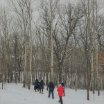 Guided Snowshoe Adventure