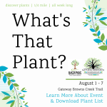 What's That Plant? (August 2022)