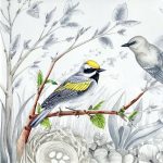 Birds, Trees, River - Tanya Piatz Artist Talk