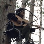 Music in the Trees