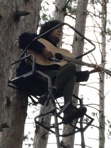 Music in the Trees
