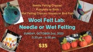 Wool Felt Lab - Choose Needle or Wet Felting