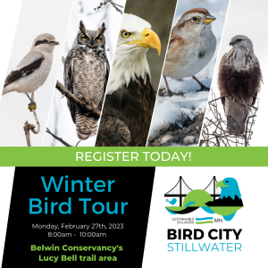 Winter Bird Tour