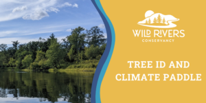 Tree ID and Climate Paddle