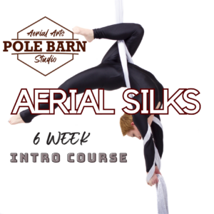 Intro to AERIAL SILKS for beginners ages 14+