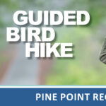Bird Hike at Pine Point Regional Park